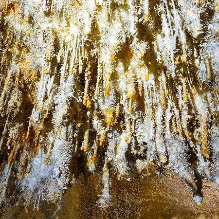 S'Olivariu Village Affittacamere Piscinas Exteriör bild